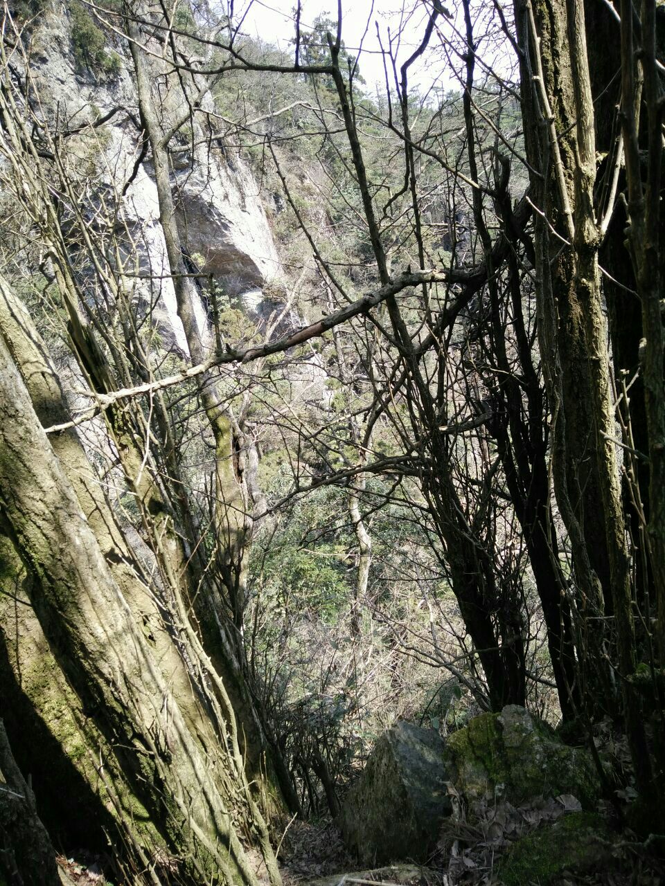 天目山景区