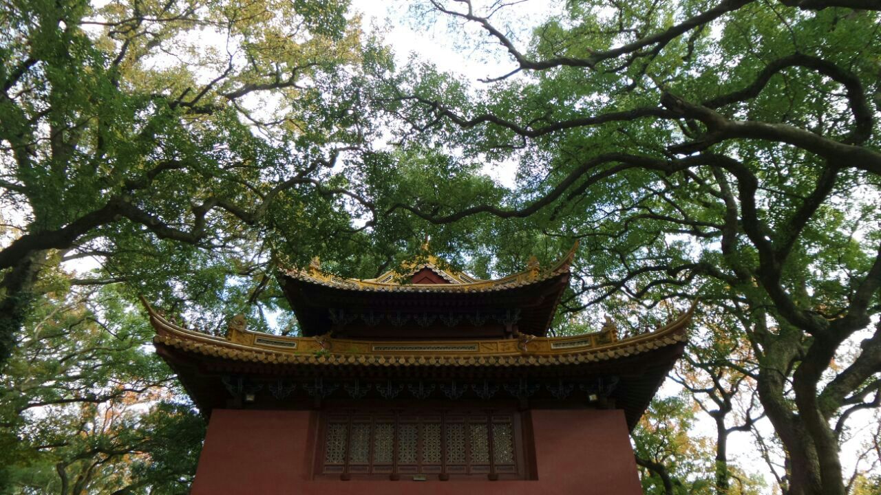 法雨寺