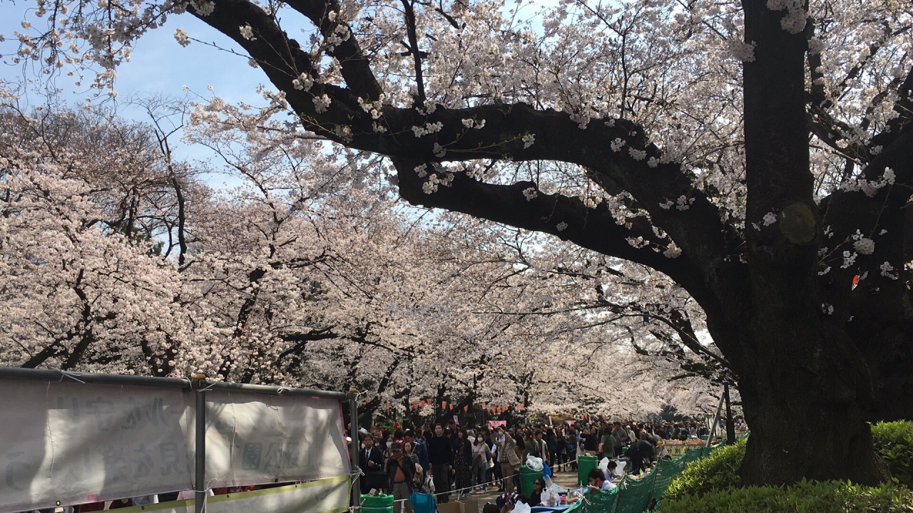 上野公园ueno park