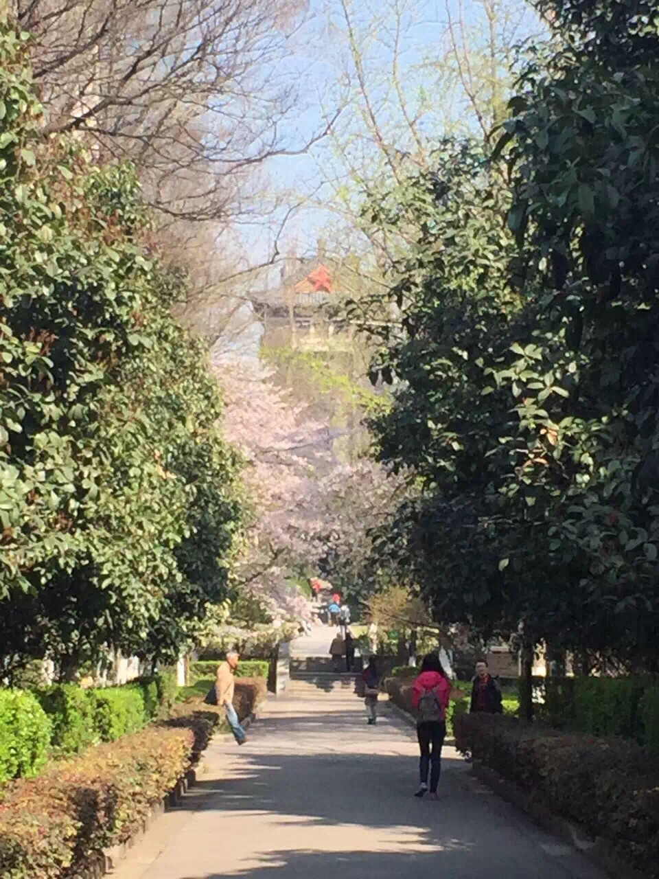 南京大学