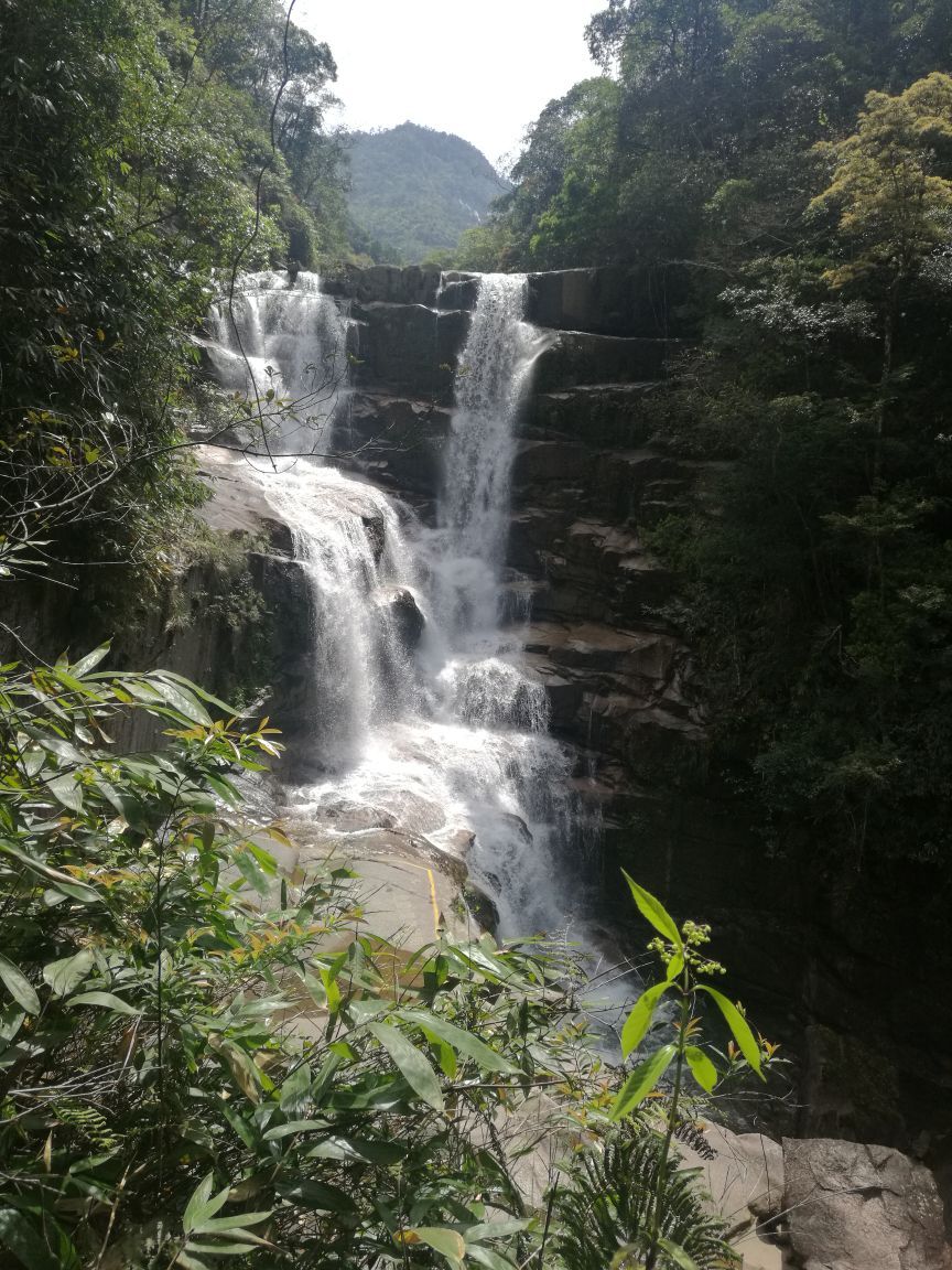 武夷山青龙大瀑布好玩吗,武夷山青龙大瀑布景点怎么样