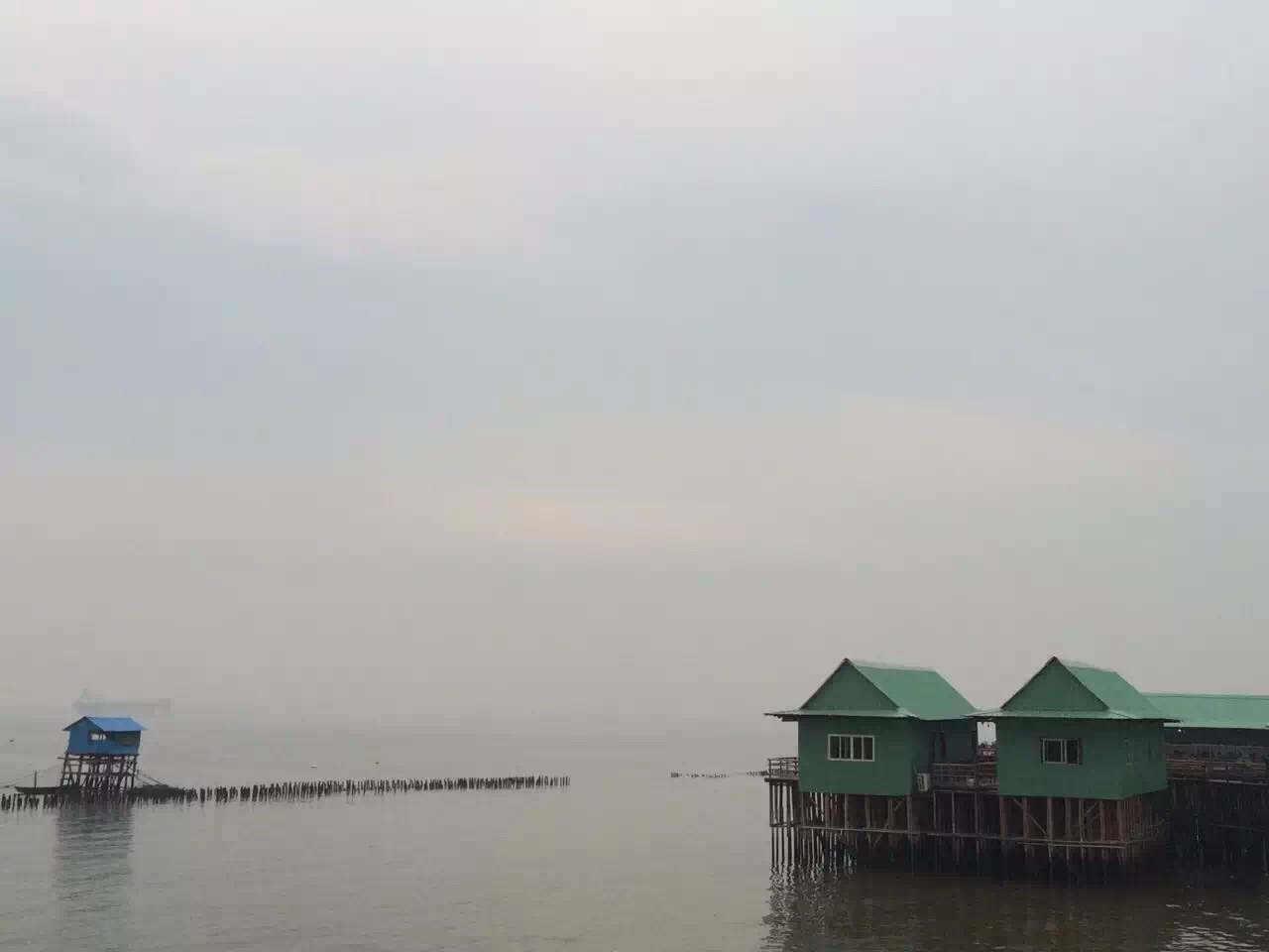 海鸥岛