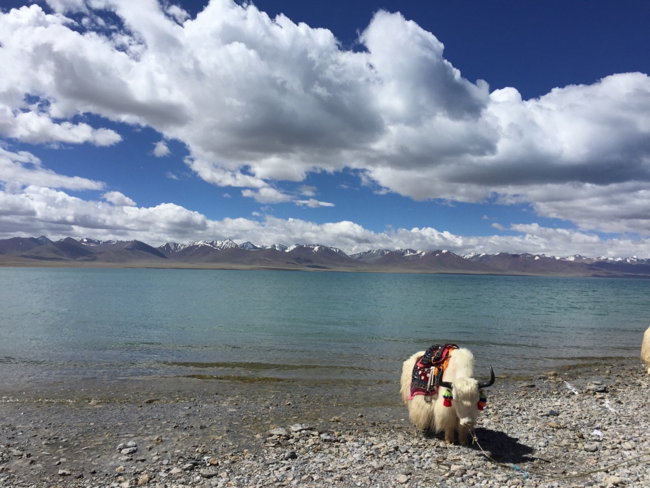 来西藏纳木错一定要去 圣地圣湖 景色太美