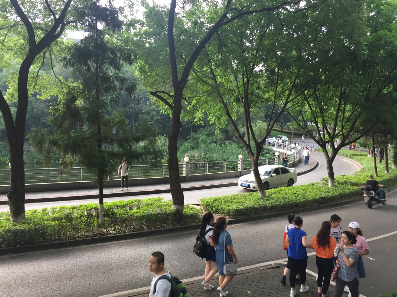 西南大学