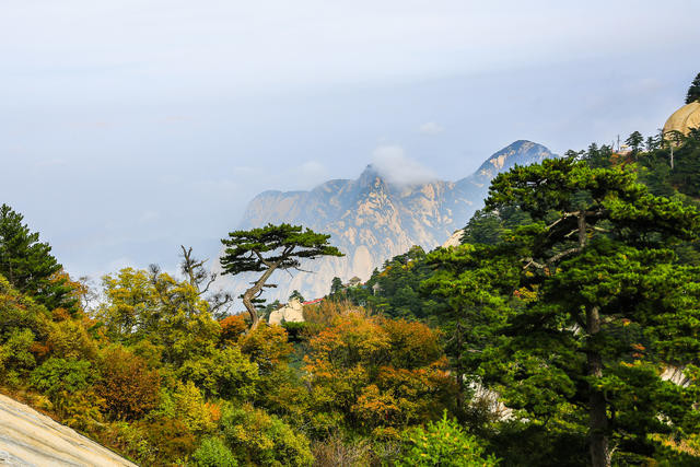 金天重镇(清)李光汉书.擢萃天表(光绪)黎荣翰书.