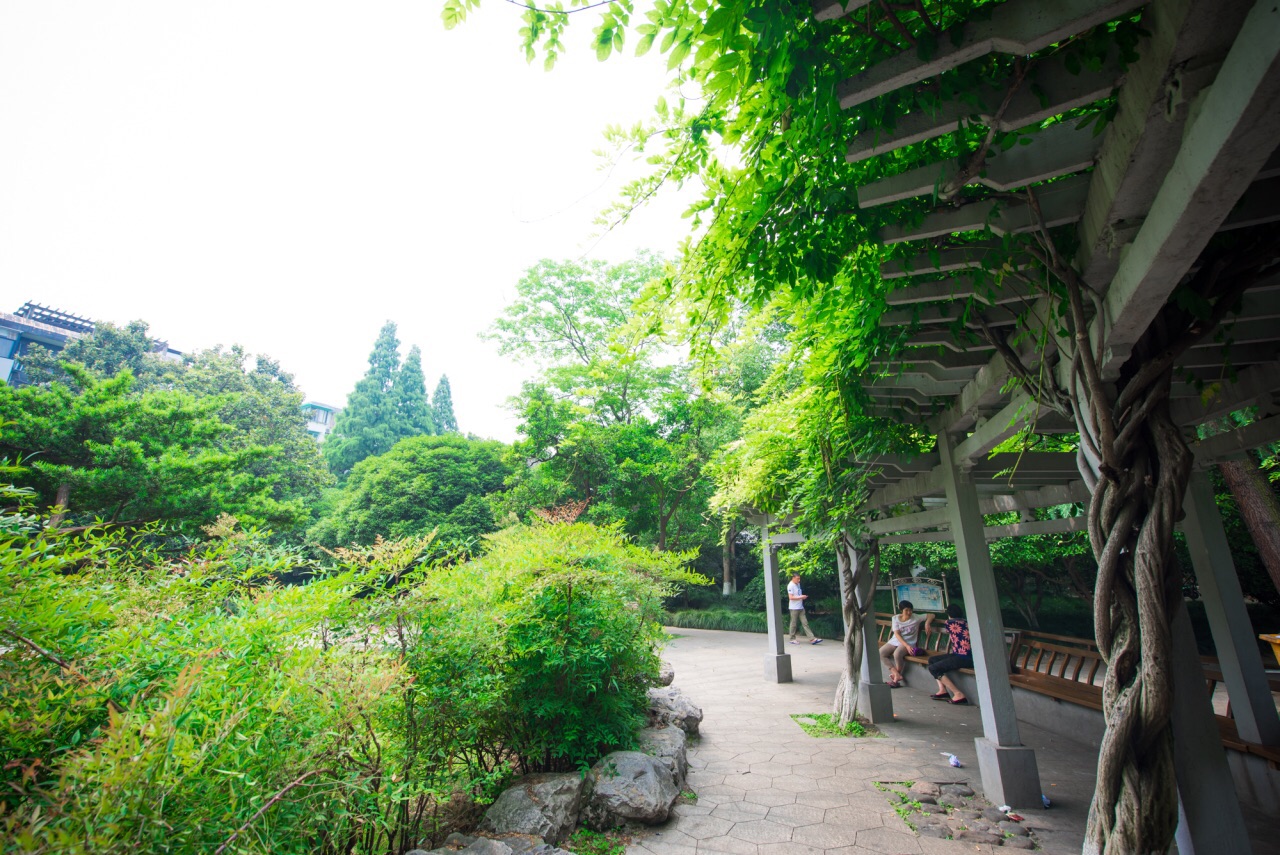 杭州横河公园好玩吗,杭州横河公园景点怎么样_点评_评价【携程攻略】