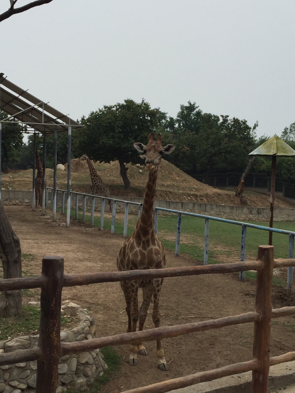 秦岭野生动物园