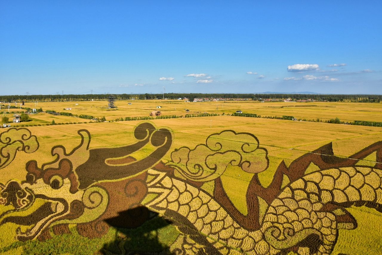 沈阳稻梦空间好玩吗,沈阳稻梦空间景点怎么样_点评