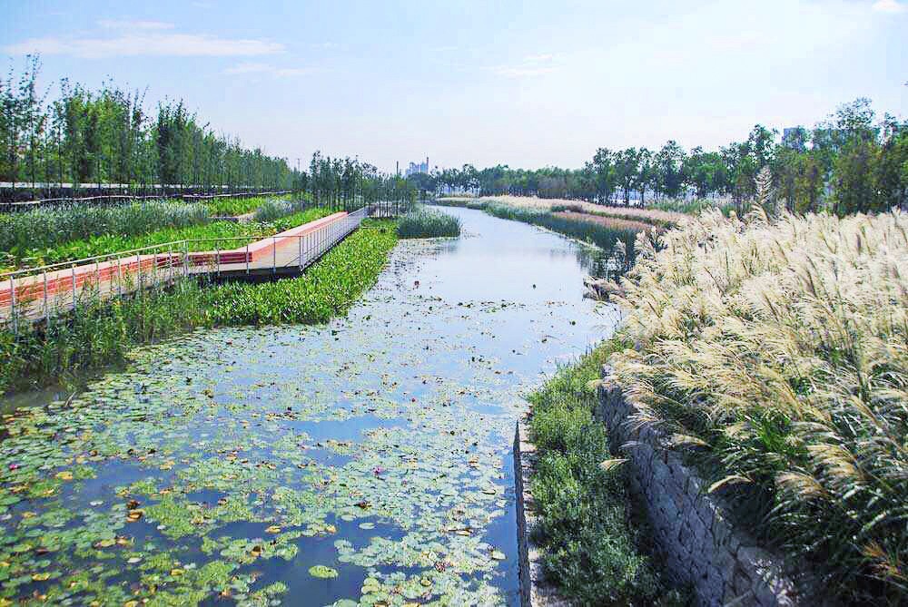 2019世博后滩湿地公园_旅游攻略_门票_地址_游记点评,上海旅游景点