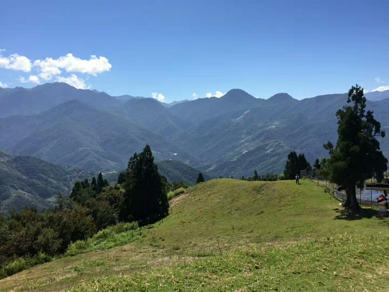 青青草原