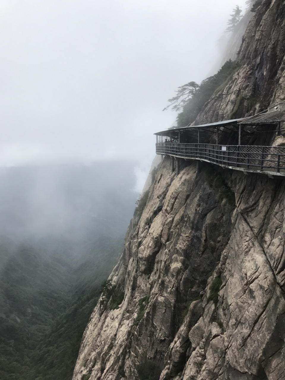 岳西明堂山好玩吗,岳西明堂山景点怎么样_点评_评价