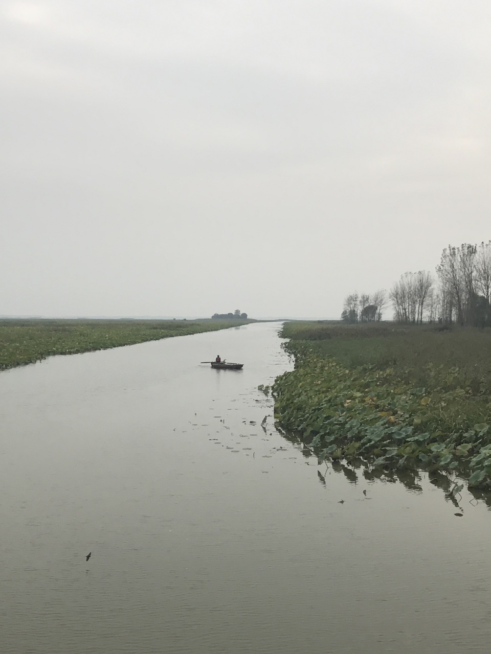 微山湖湿地红荷风景区旅游景点攻略图