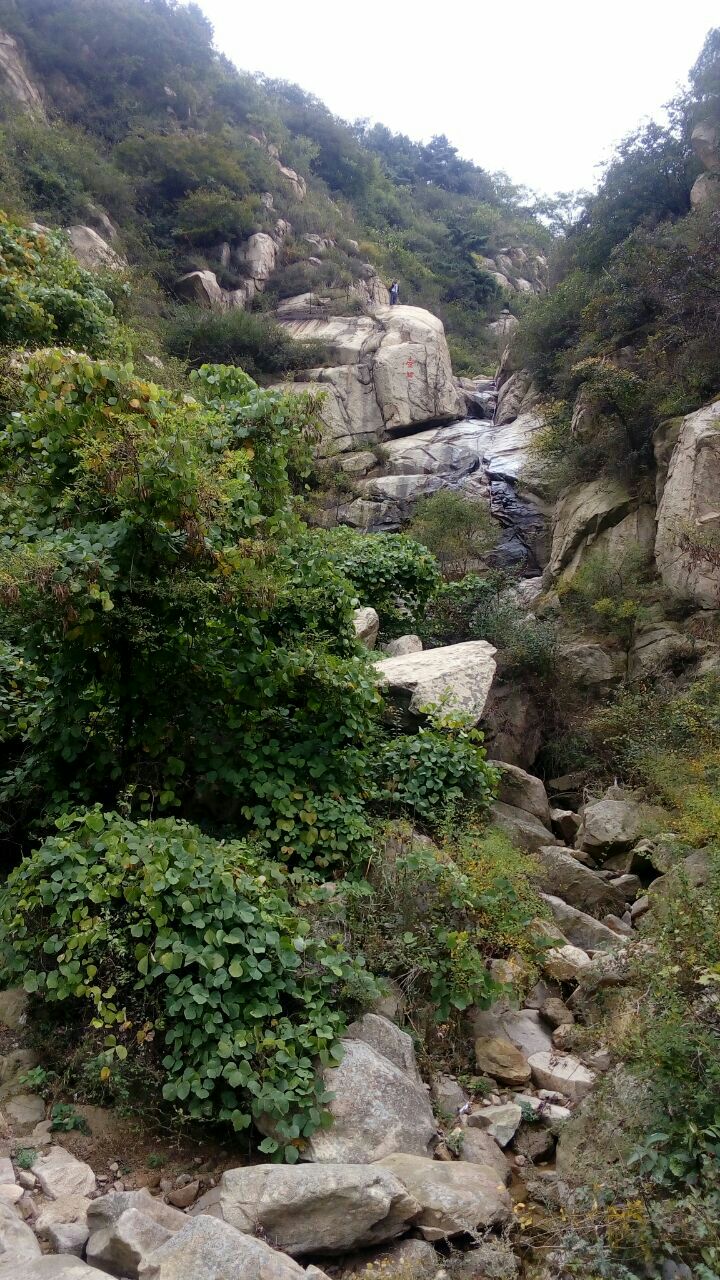 莱芜莲花山风景区