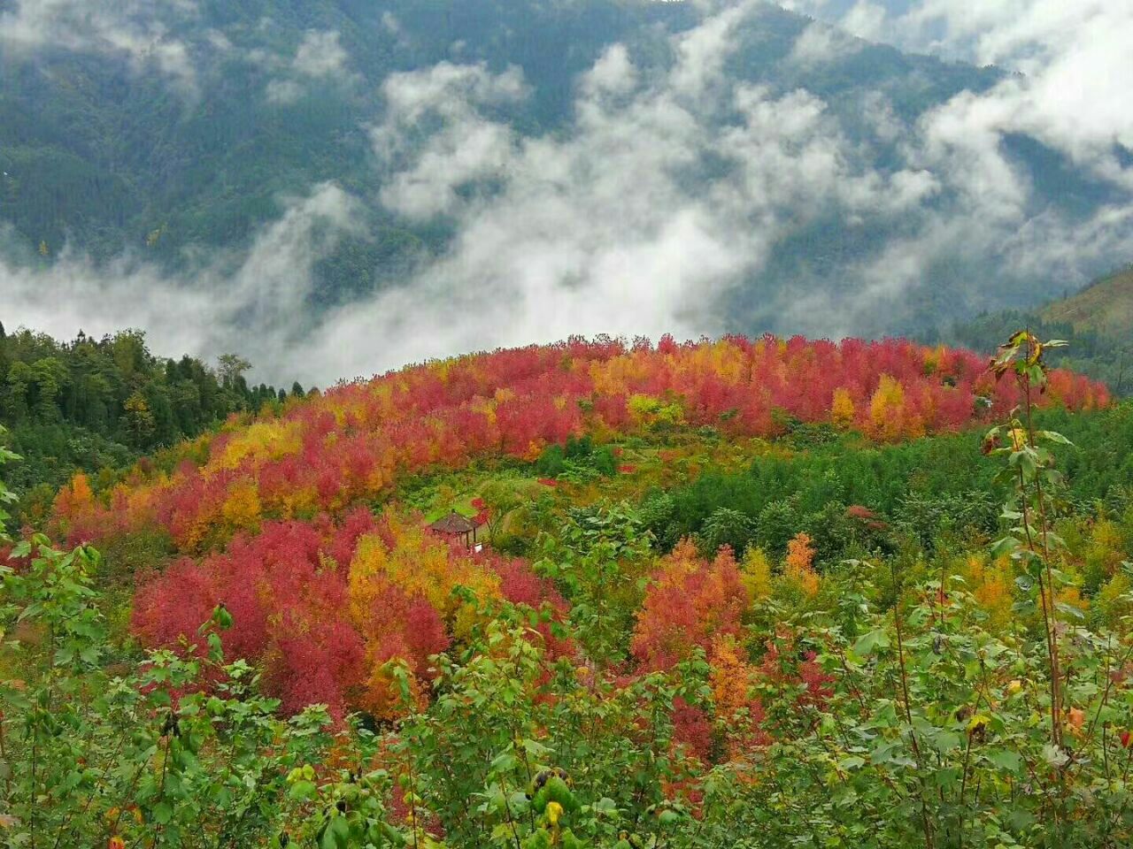 什邡红峡谷攻略,什邡红峡谷门票/游玩攻略/地址/图片