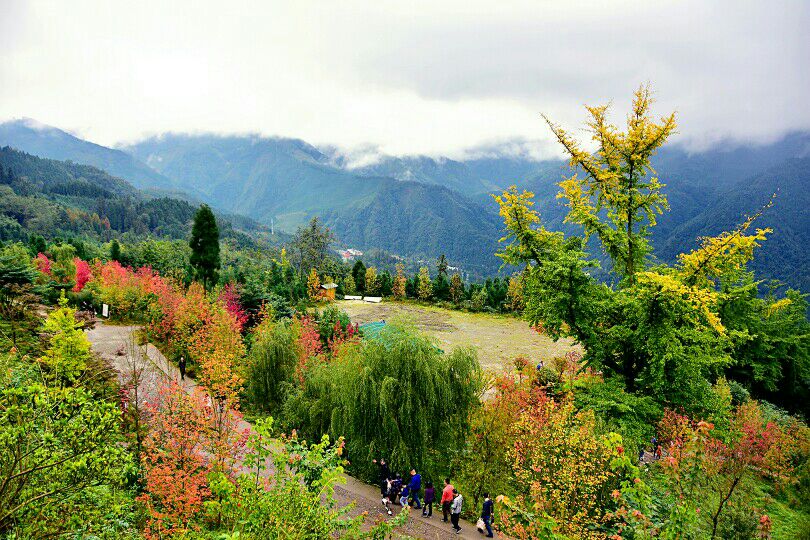 什邡川西红枫岭好玩吗,什邡川西红枫岭景点怎么样