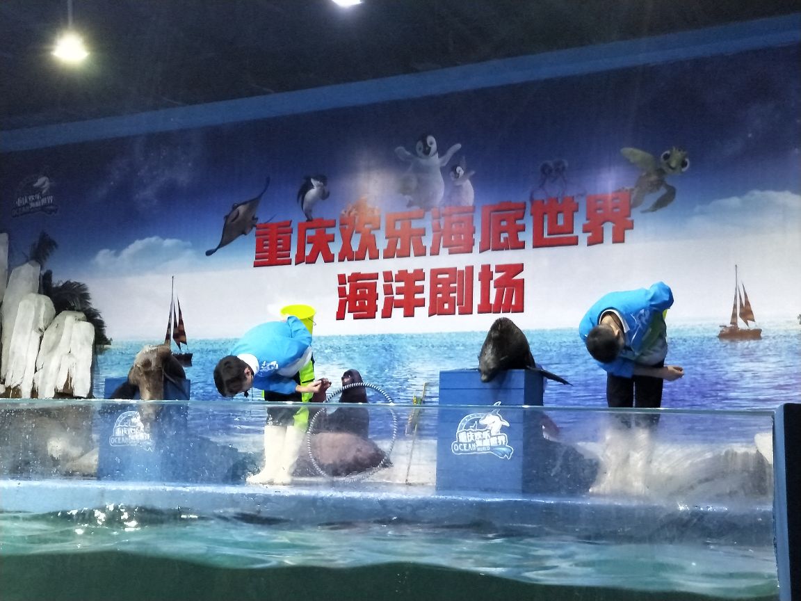 欢乐海底世界