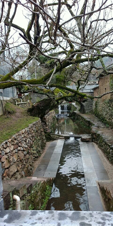 宁海龙宫古村好玩吗,宁海龙宫古村景点怎么样_点评_评价【携程攻略】