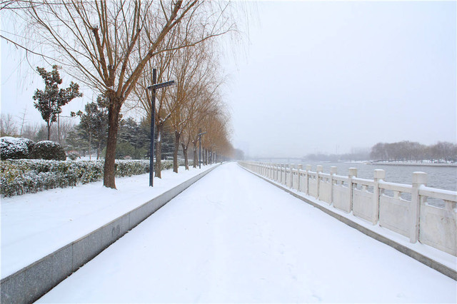 今年的第一场大雪在一次次乌龙的天气预报中终于来了!