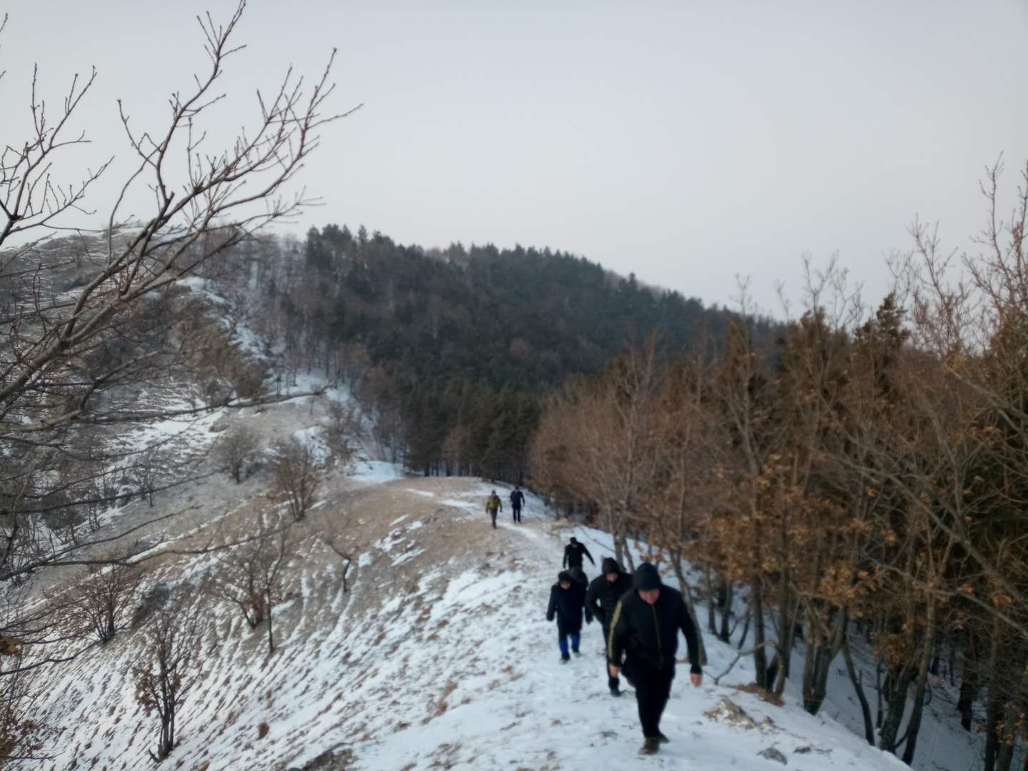 驿马山国家森林公园