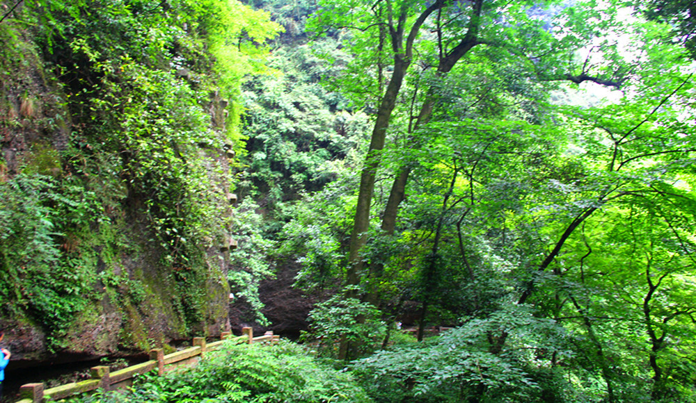 那一年"川"梭中的回忆:足迹四川青城山—四川青城山前山后山,老君阁