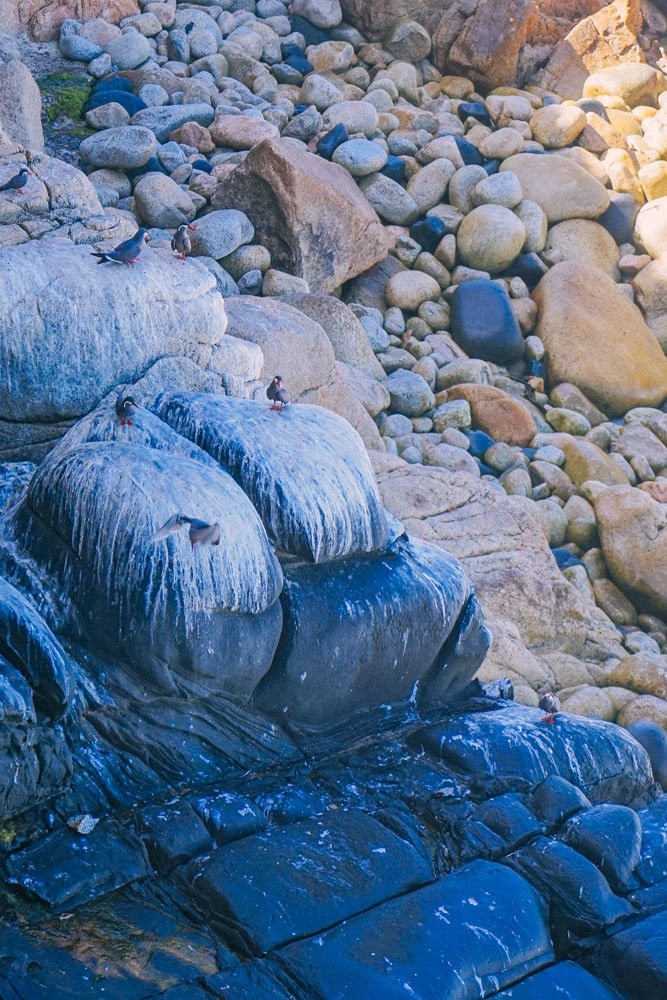 南极不难及,难忘冰雪极境的那一抹幽蓝