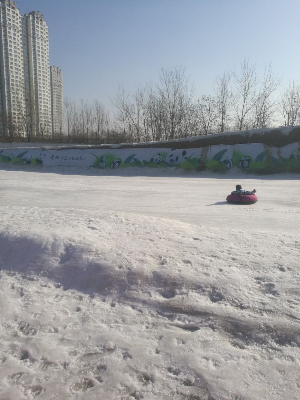 保定植物园滑雪场