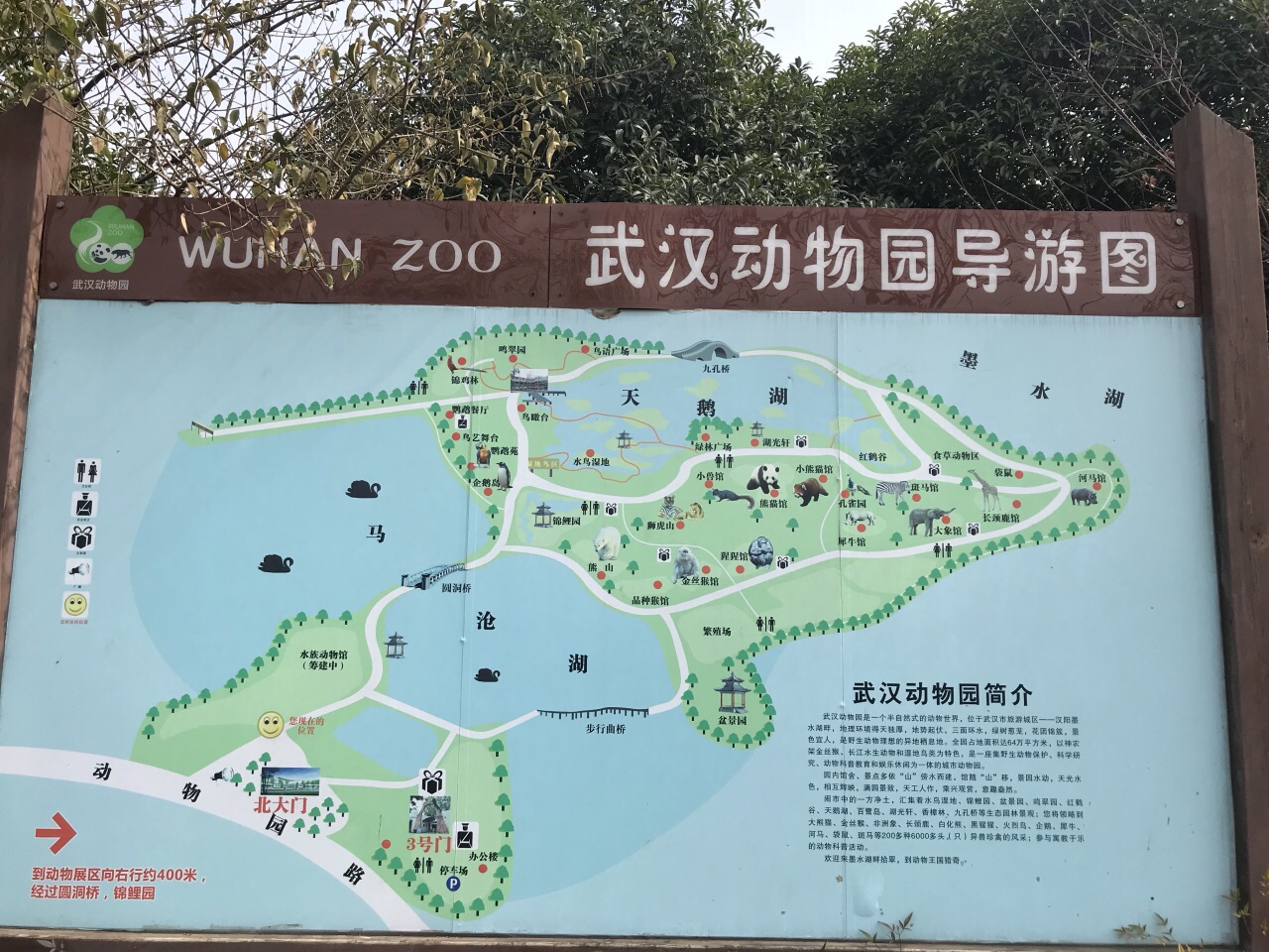 武汉动物园