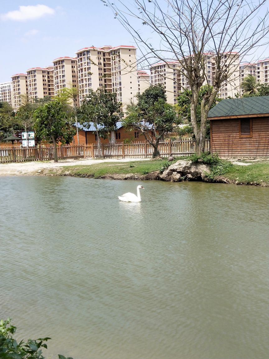 天鹅湖动物基地