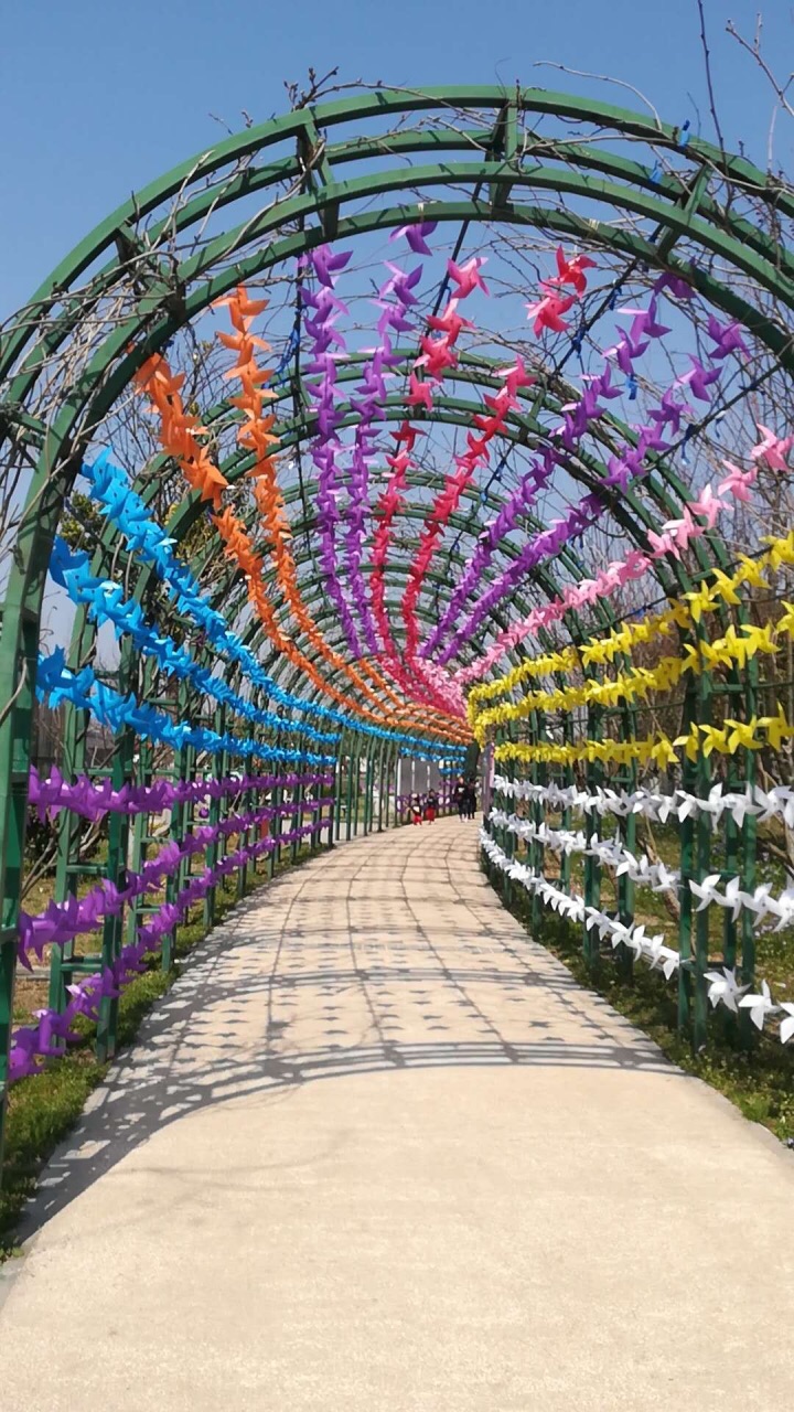 绍兴杭州湾海上花田好玩吗,绍兴杭州湾海上花田景点样