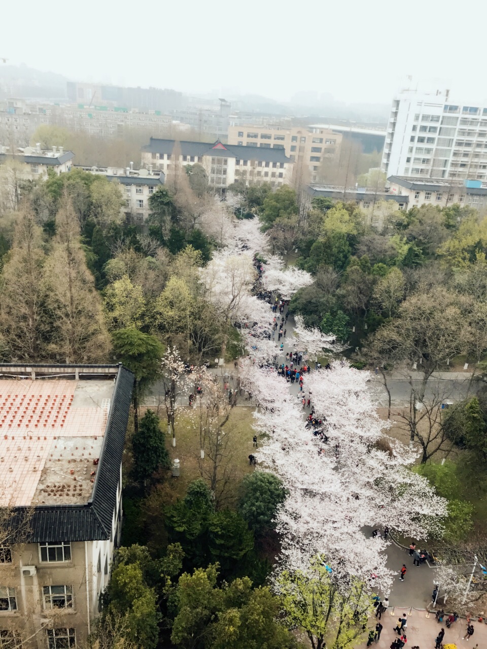 南京林业大学