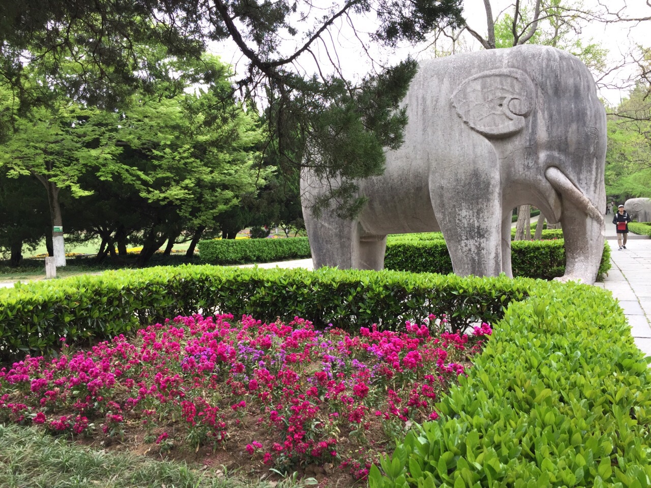 【携程攻略】南京中山陵园风景区景点,范围好大,樱花.