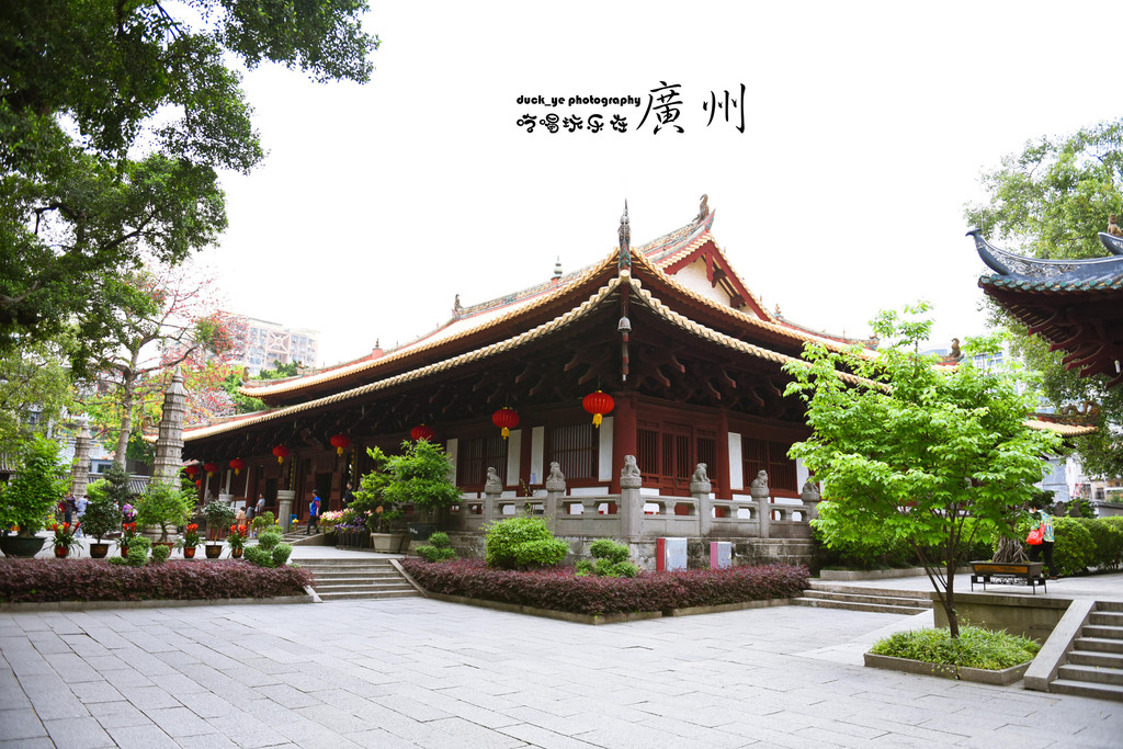 5天玩转广州城|逛古寺,寻历史,压马路,探校园,吃美食