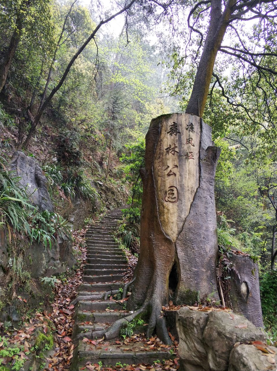 凉风垭森林公园旅游景点攻略图