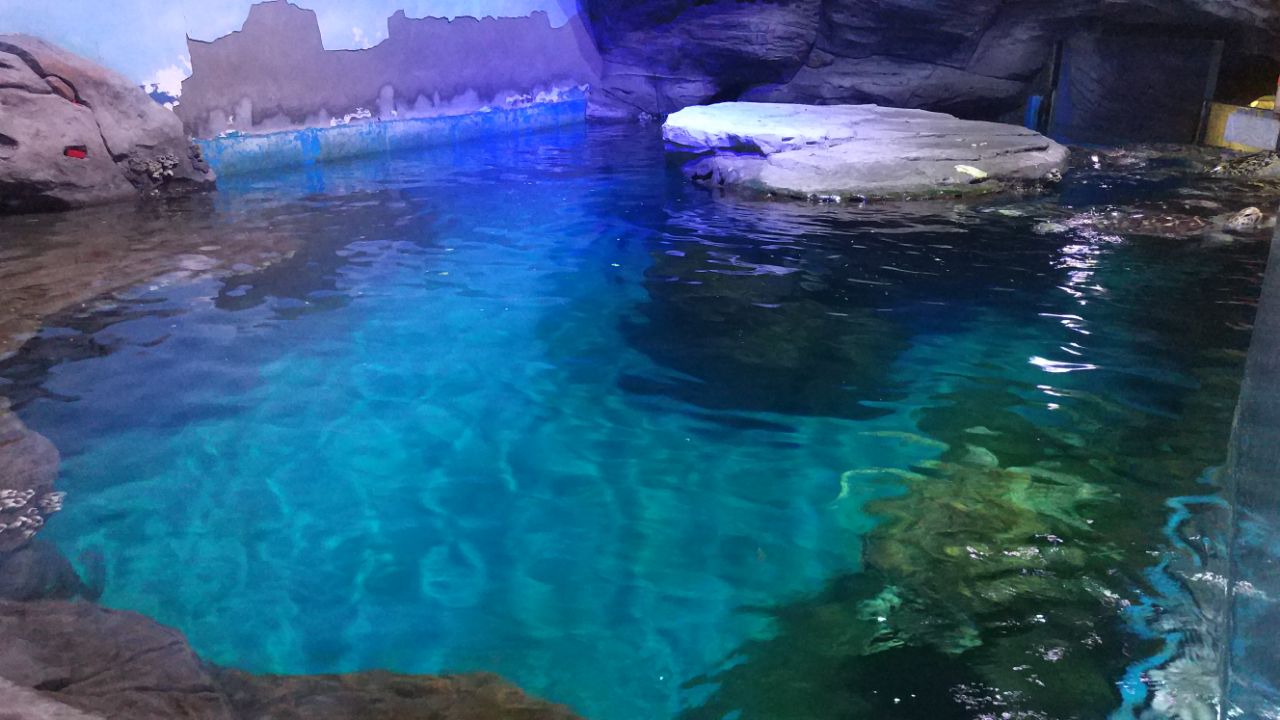 武汉海洋极地公园