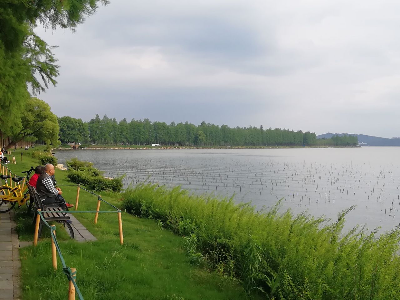 东湖旅游景点攻略图