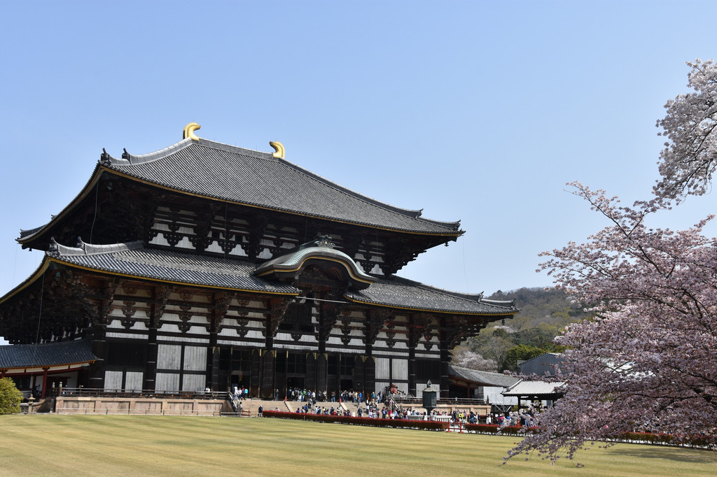 日本我来啦!大阪,奈良,神户,姬路城,京都9日深度游,美照美景无数