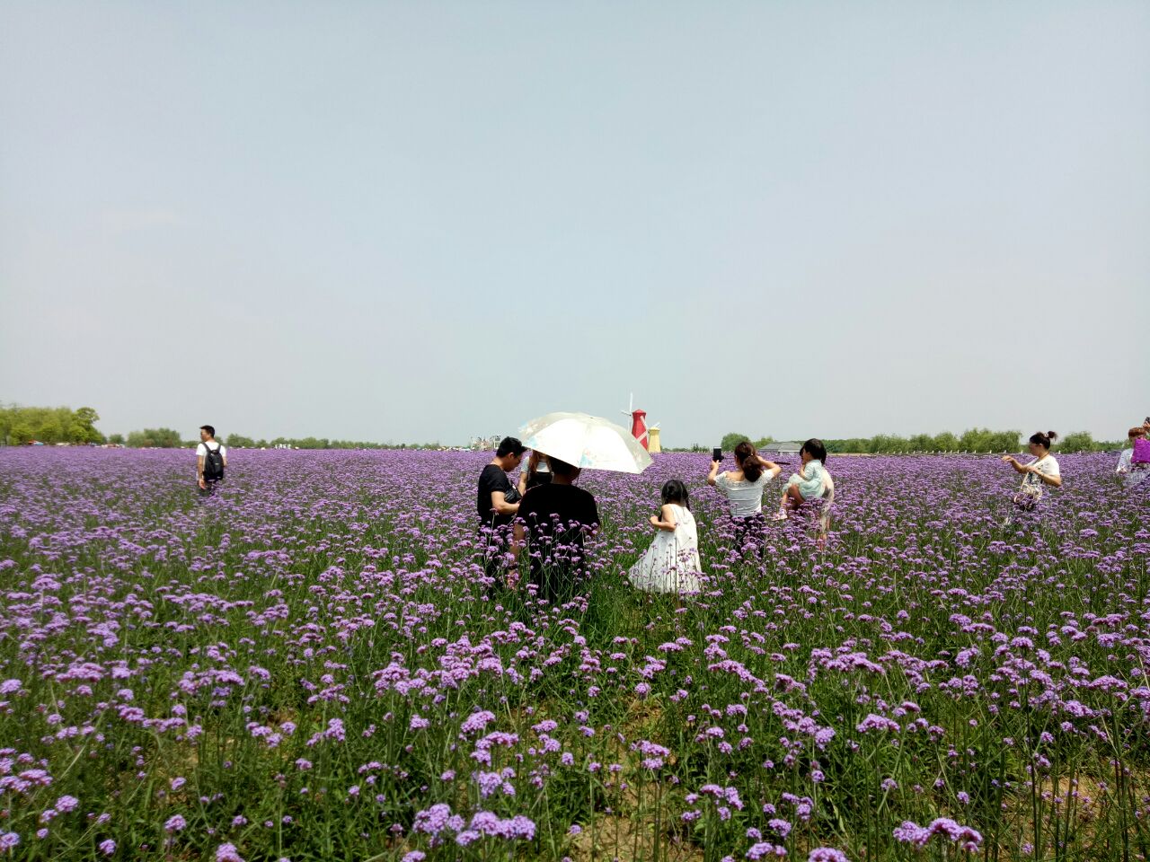 南陵大浦乡村世界好玩吗,南陵大浦乡村世界景点怎么样