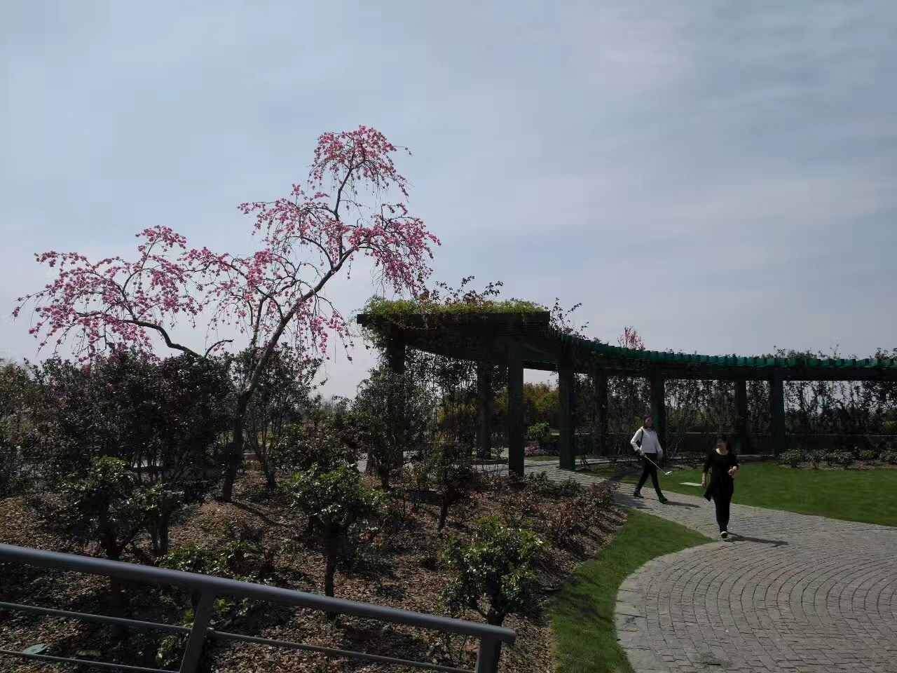 松江区上海辰山植物园好玩吗,松江区上海辰山植物园样