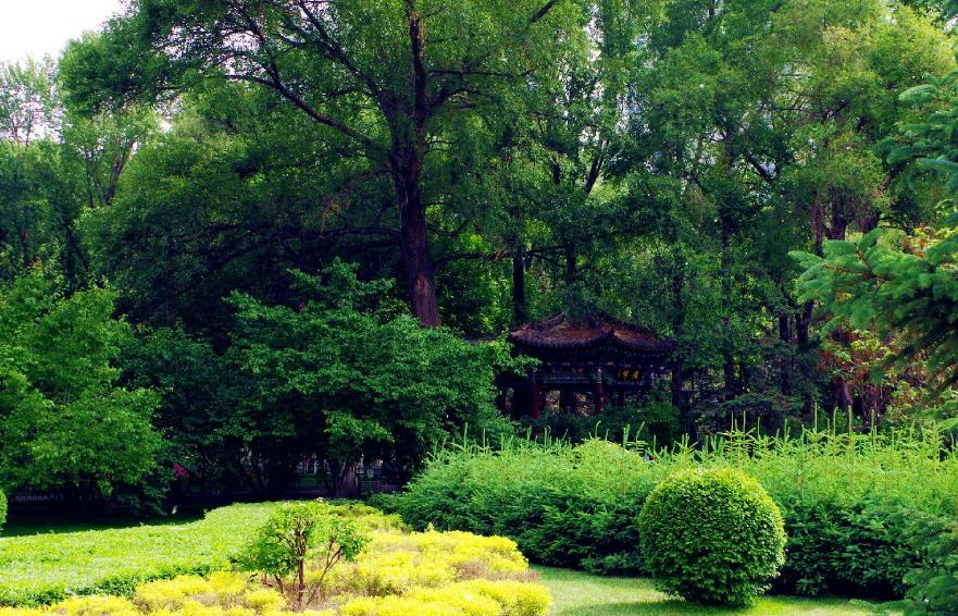 2019人民公园_旅游攻略_门票_地址_游记点评,西宁旅游景点推荐 去