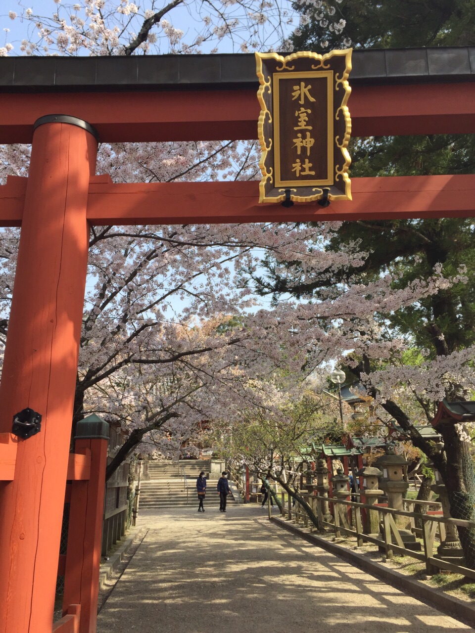 奈良冰室神社好玩吗,奈良冰室神社景点怎么样_点评_评价【携程攻略】