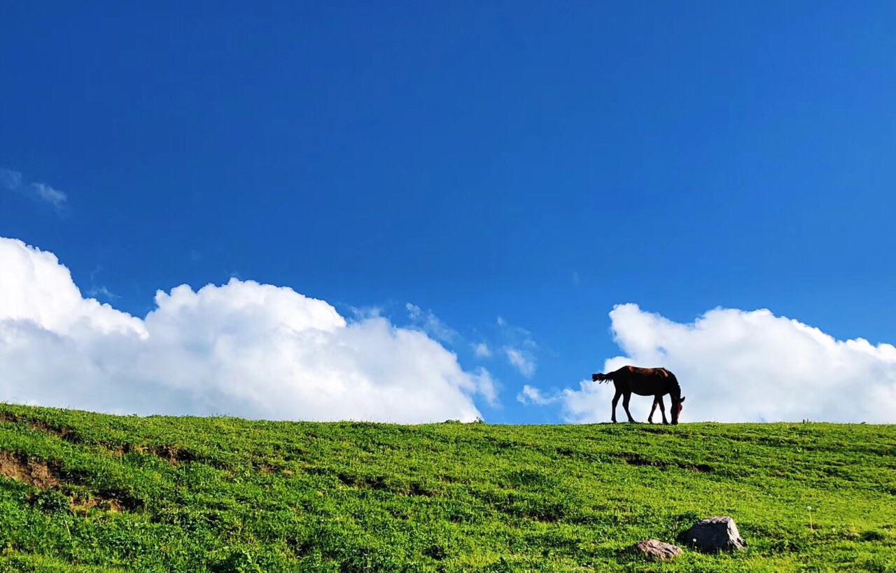 那拉提旅游风景区旅游景点攻略图