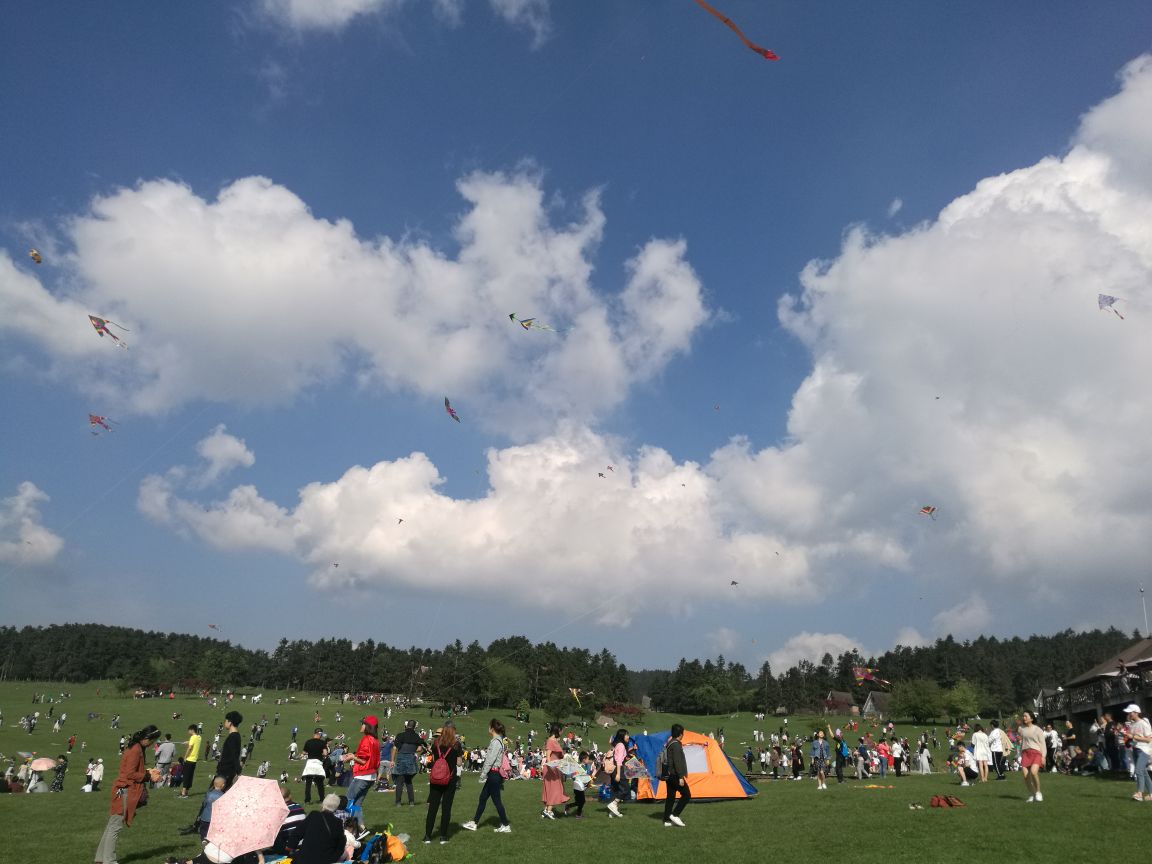 仙女山国家森林公园