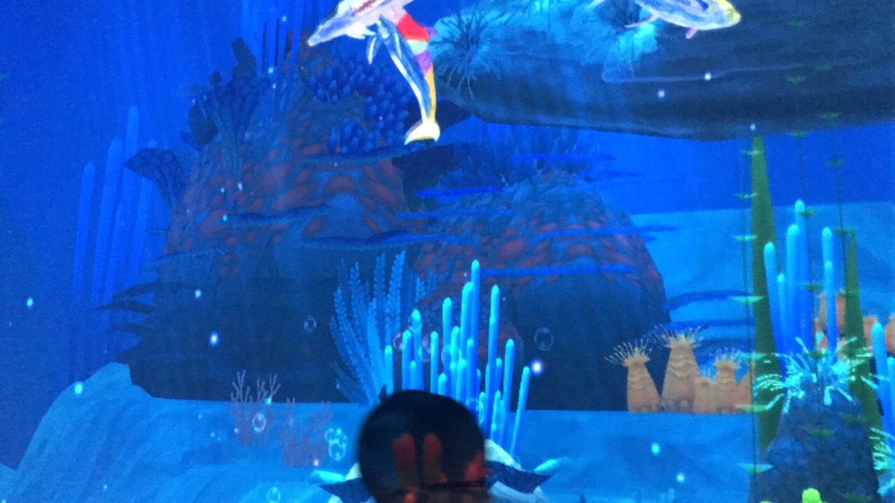 壁纸 海底 海底世界 海洋馆 水族馆 桌面 590_393