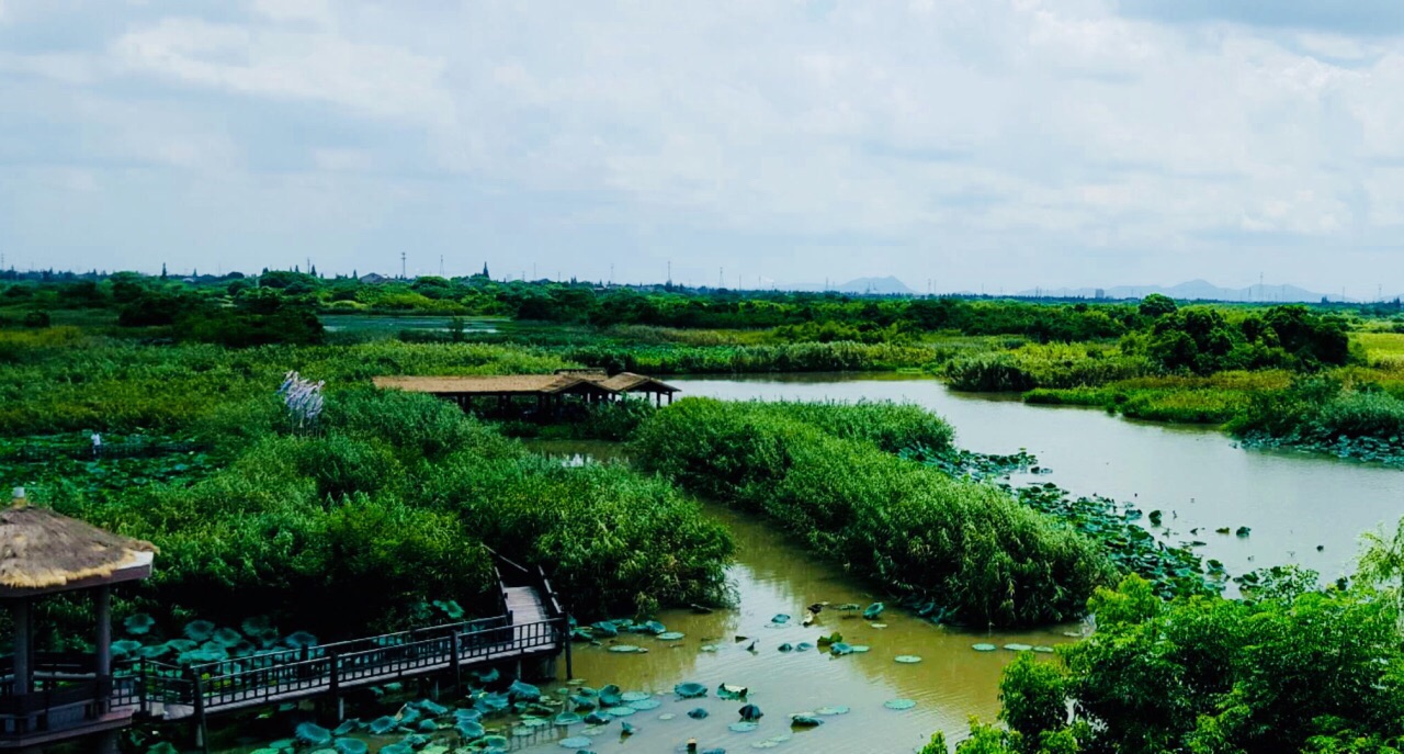 德清下渚湖湿地公园