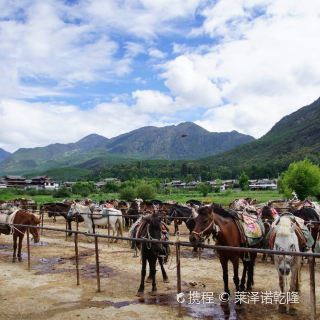 玉龙拉市海茶马古道攻略,拉市海茶马古道门票/游玩