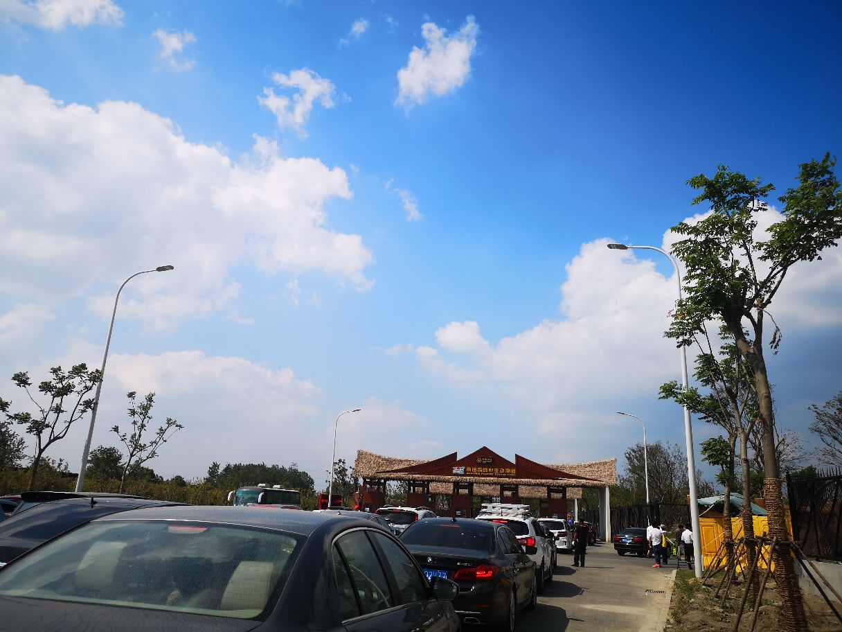 南通森林野生动物园