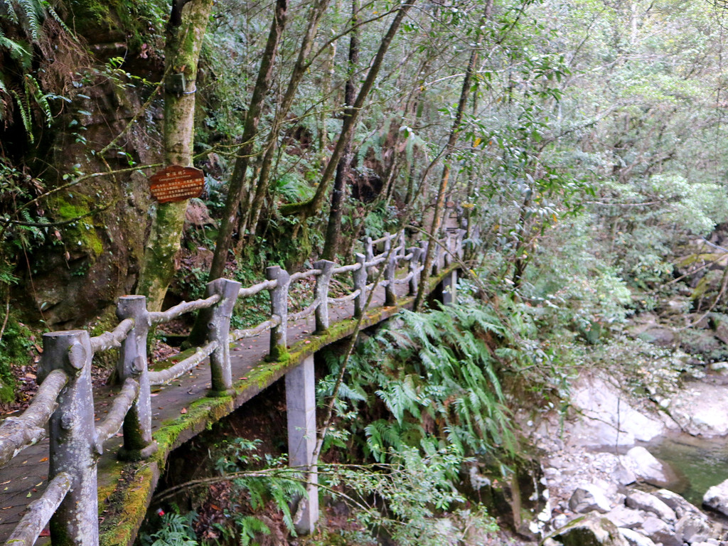 乌岩岭参观完黄腹角雉主题馆,我们向景区内进发.