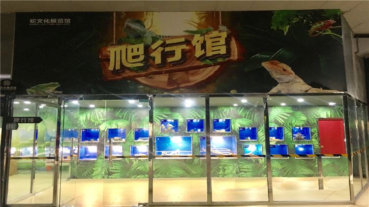 大连蛇文化展览馆攻略-蛇文化展览馆门票价格多少钱