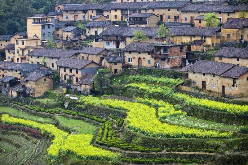 大柯梯田