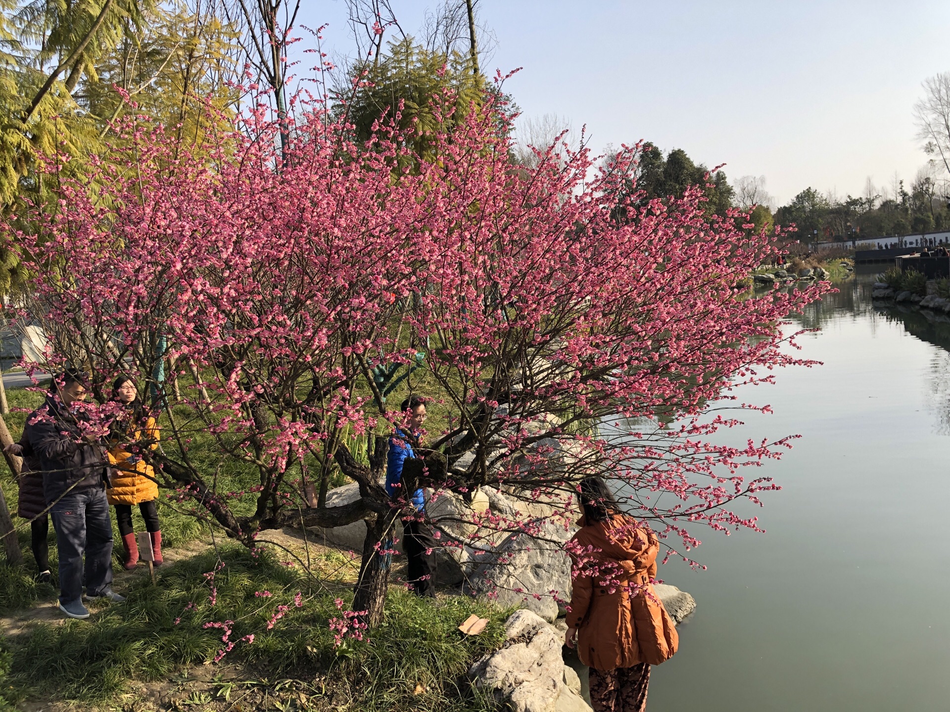 浣花溪公园旅游景点攻略图